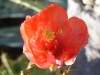 p1040761
