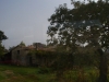 p1050224