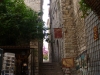 p1030266