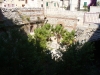 p1030569