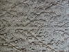 dsc00305