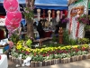dsc00969