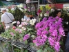 dsc00984