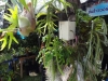 dsc00986