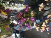 dsc01002