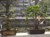 dsc01015
