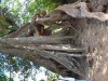 dsc00600