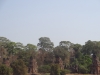 dsc00646